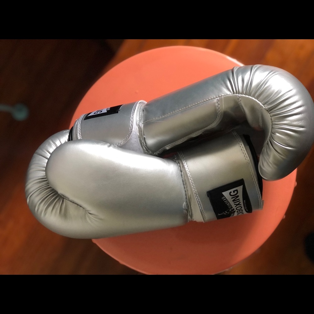 Silver Boxing Gloves